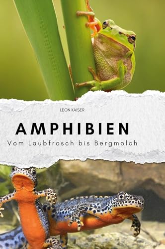Amphibien: Vom Laubfrosch bis Bergmolch von FlipFlop