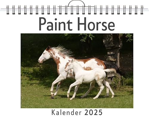 Paint Horse - (Wandkalender 2025, Kalender DIN A4 quer, Monatskalender im Querformat mit Kalendarium, das perfekte Geschenk) von FlipFlop