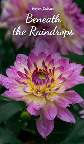 Beneath the Raindrops von Swan Charm Publishing