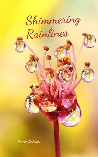 Shimmering Rainlines von Swan Charm Publishing