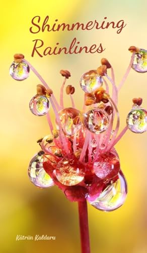 Shimmering Rainlines von Swan Charm Publishing