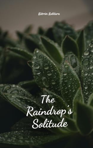 The Raindrop's Solitude von Swan Charm Publishing
