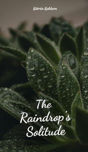 The Raindrop's Solitude von Swan Charm Publishing