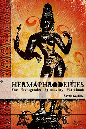 Hermaphrodeities: The Transgender Spirituality Workbook von CreateSpace Independent Publishing Platform