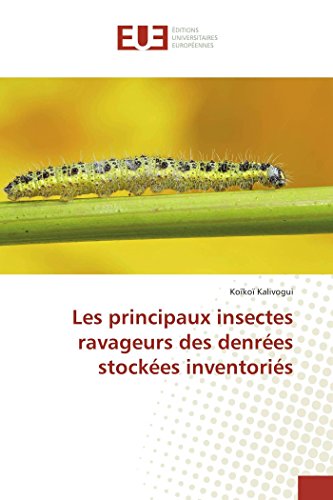 Les principaux insectes ravageurs des denrées stockées inventoriés von UNIV EUROPEENNE
