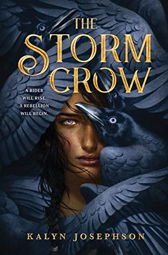 The Storm Crow von DK