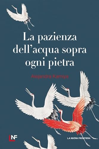 La pazienza dell'acqua sopra ogni pietra (Liberamente) von La Nuova Frontiera