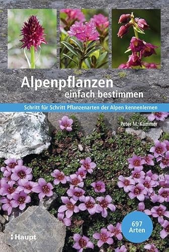 Alpenpflanzen einfach bestimmen: Schritt für Schritt Pflanzenarten der Alpen kennenlernen von Haupt Verlag AG