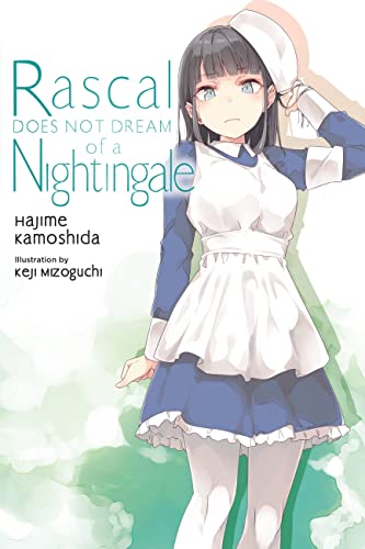Rascal Does Not Dream, Vol. 11 (light novel): Volume 11 (Rascal Does Not Dream, 11, Band 11) von Yen Press