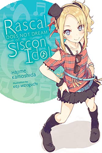 Rascal Does Not Dream of Siscon Idol (light novel) (Rascal Does Not Dream Light Novel 4, 4)