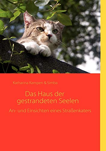 Das Haus der gestrandeten Seelen: An- und Einsichten eines Straßenkaters
