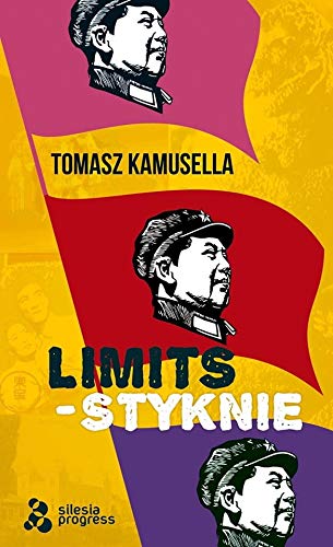 Styknie / Limits / Silesia Progress von Silesia Progress