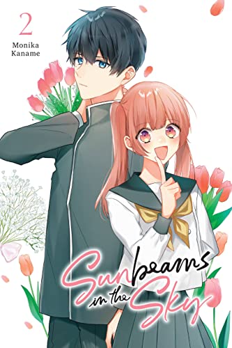 Sunbeams in the Sky, Vol. 2: Volume 2 (SUNBEAMS IN SKY GN, Band 2)