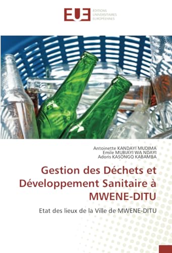 Gestion des Déchets et Développement Sanitaire à MWENE-DITU: Etat des lieux de la Ville de MWENE-DITU