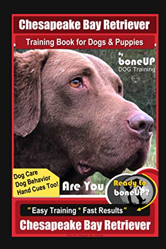 Chesapeake Bay Retriever Training Book for Dogs & Puppies By BoneUP DOG Training, Dog Care, Dog Behavior, Hand Cues Too! Are You Ready to Bone Up? Easy Training*Fast Results, Chesapeake Bay Retriever von Independently Published