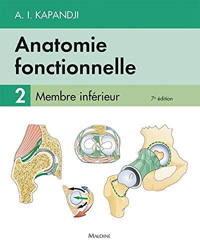 Anatomie Fonctionnelle: Membre Inférieur (2)