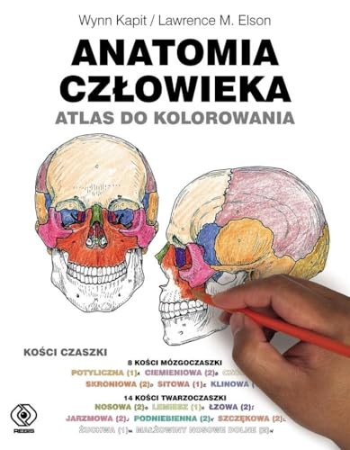 Anatomia człowieka. Atlas do kolorowania von Rebis