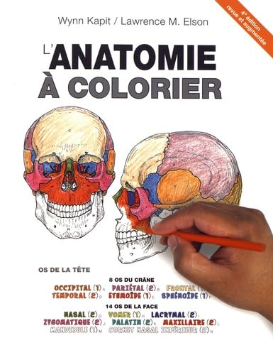 L'anatomie À Colorier