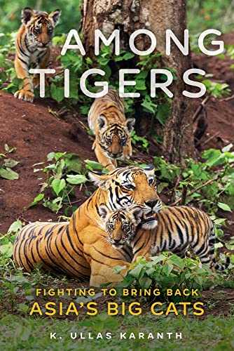 Among Tigers: Fighting to Bring Back Asia's Big Cats von Chicago Review Press
