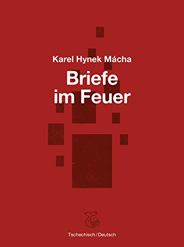 Briefe im Feuer: Auswahl von Briefen an die Familie und von Liebesbriefen