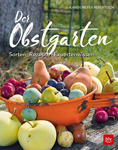 Der Obstgarten: Sorten - Rezepte - Expertenwissen (BLV Obst, Gemüse & Kräuter) von Gräfe und Unzer