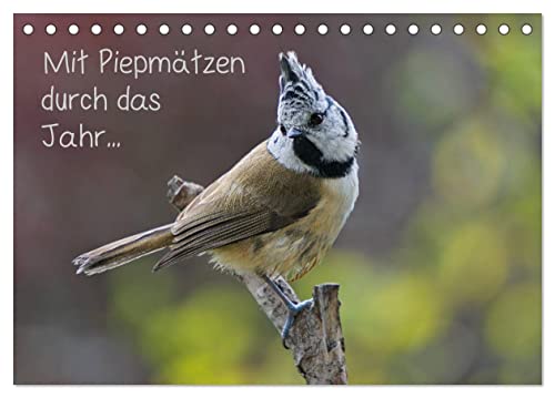 Mit Piepmätzen durch das Jahr ... (Tischkalender 2025 DIN A5 quer), CALVENDO Monatskalender von CALVENDO