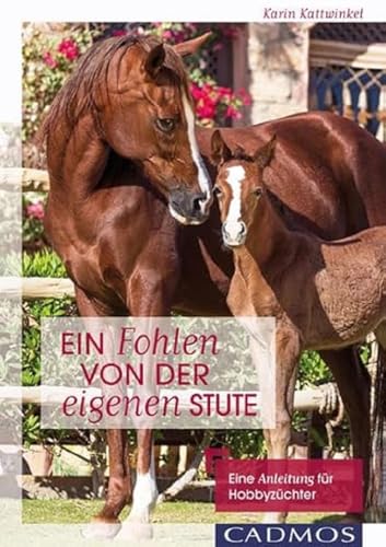 Ein Fohlen von der eigenen Stute: Eine Anleitung für Hobbyzüchter: Eine Handbuch für angehende Hobbyzüchter von Cadmos Verlag GmbH