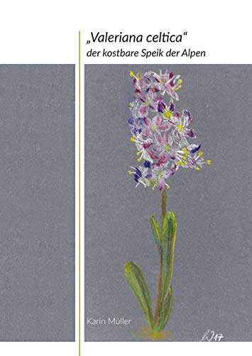 „Valeriana celtica“: der kostbare Speik der Alpen „Valeriana celtica“: der kostbare Speik der Alpen von Weisse Drei
