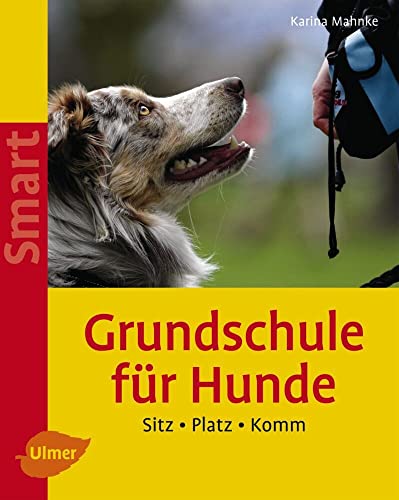 Grundschule für Hunde: Sitz - Platz - Komm (SMART)