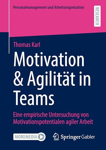 Motivation & Agilität in Teams: Eine empirische Untersuchung von Motivationspotentialen agiler Arbeit (Personalmanagement und Arbeitsorganisation) von Springer Gabler