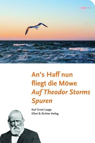 An's Haff nun fliegt die Möwe. Auf Theodor Storms Spuren