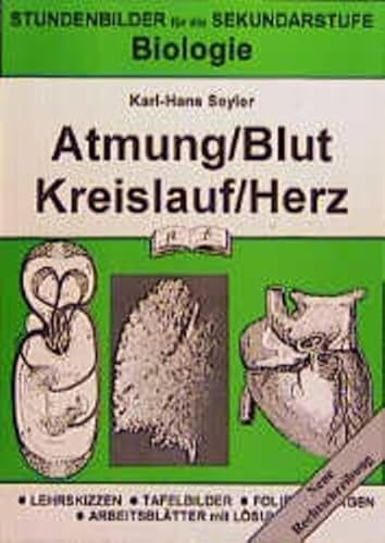 Biologie / Stundenbilder nach Themenkreisen: Biologie, Atmung, Blut, Kreislauf, Herz von pb Verlag