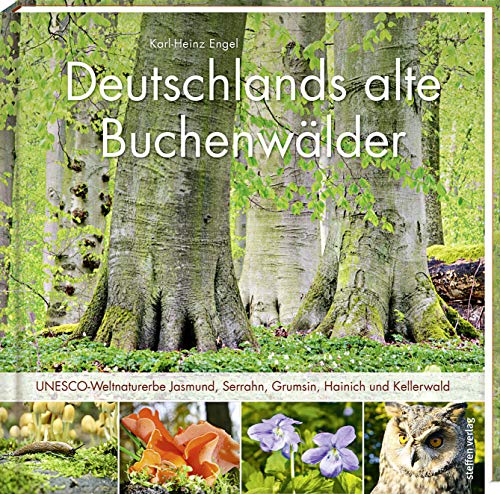 Deutschlands alte Buchenwälder: UNESCO-Weltnaturerbe Jasmund, Serrahn, Grumsin, Hainich und Kellerwald von Steffen Verlag