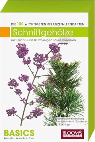 Schnittgehölze: Die 100 wichtigsten Pflanzen-Lernkarten