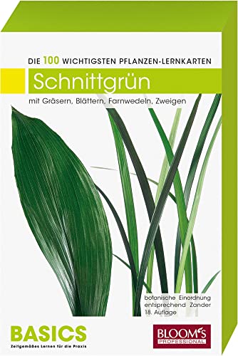 Schnittgrün: Die 100 wichtigsten Pflanzen-Lernkarten von Blooms GmbH
