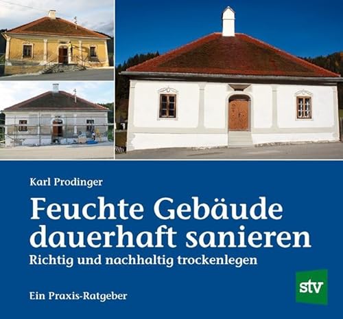 Feuchte Gebäude dauerhaft sanieren: Richtig und nachhaltig trockenlegen