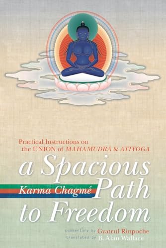A Spacious Path to Freedom: Practical Instructions on the Union of Mahamudra and Atiyoga von Snow Lion