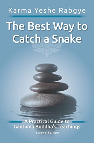 The Best Way to Catch a Snake: A Practical Guide To Gautama Buddha's Teachings von Createspace Independent Publishing Platform