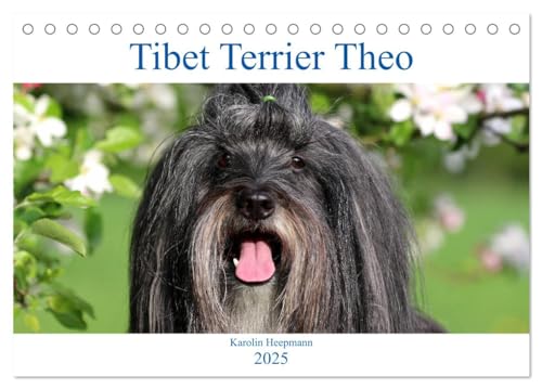 Tibet Terrier Theo (Tischkalender 2025 DIN A5 quer), CALVENDO Monatskalender von CALVENDO