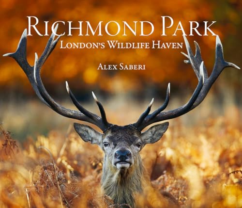 Richmond Park: London's Wildlife Haven von Acc Art Books