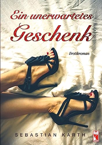 Ein unerwartetes Geschenk: Erotikroman (Frieling - Erotik)