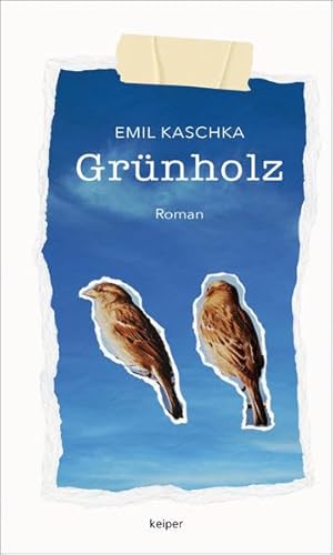 Grünholz: Jugendroman