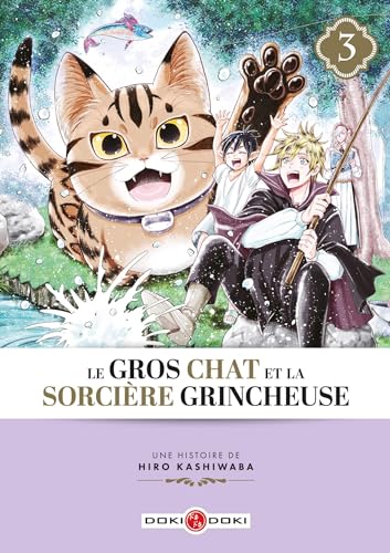 Le Gros Chat et la Sorcière grincheuse - vol. 03 von BAMBOO