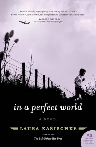 In a Perfect World: A Novel