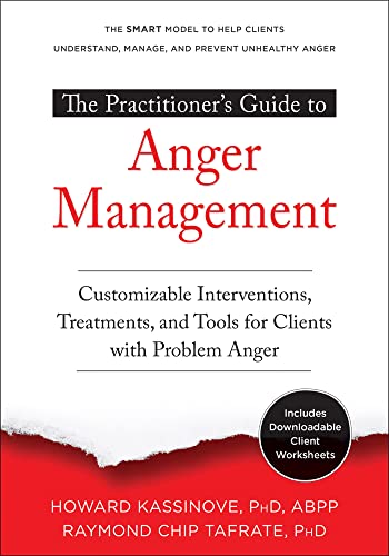 The Practitioner's Guide to Anger Management: Customizable Interventions, Treatments, and Tools for Clients with Problem Anger von New Harbinger