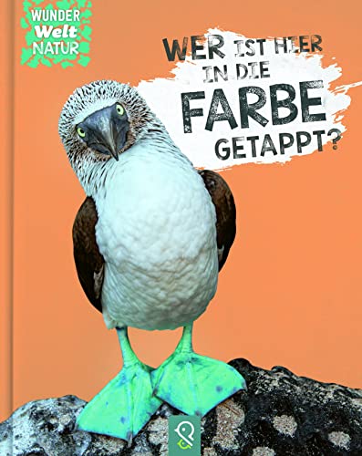 Wer ist hier in die Farbe getappt? von klein & gro� Verlag