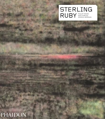 Sterling Ruby (Phaidon Contemporary Artists Series)