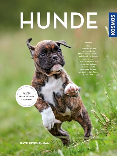 Hunde: halten, erziehen, beschäftigen
