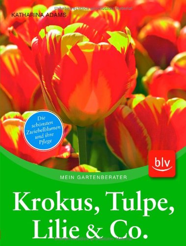 Krokus, Tulpe, Lilie & Co.: Die schönsten Zwiebelblumen und ihre Pflege