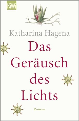 Das Geräusch des Lichts: Roman